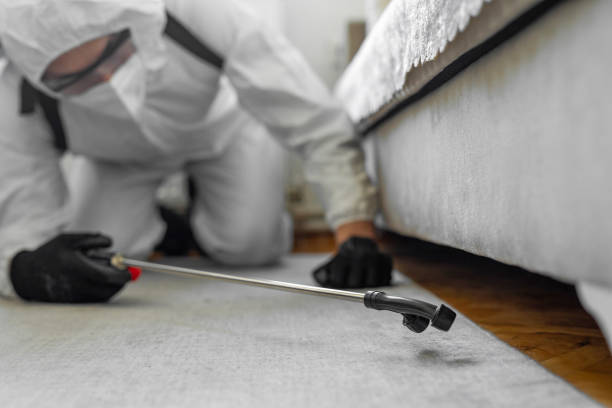 Professional Mosquito Control technician working in South Waverly, PA