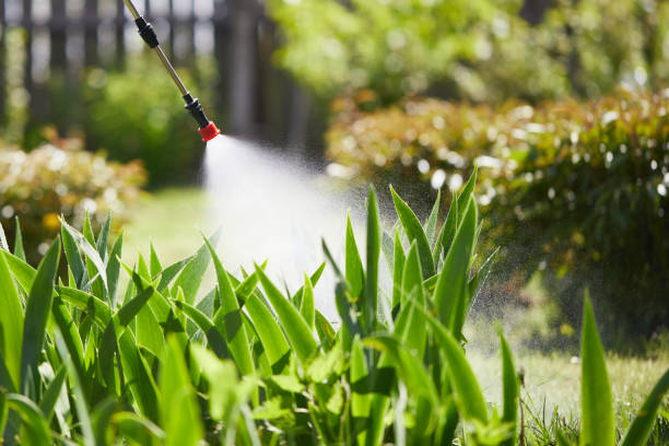 24/7 Emergency Mosquito Control experts in South Waverly, PA