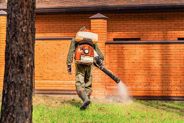 Trusted Bed Bug Control service in South Waverly, PA - Nex Pest Control